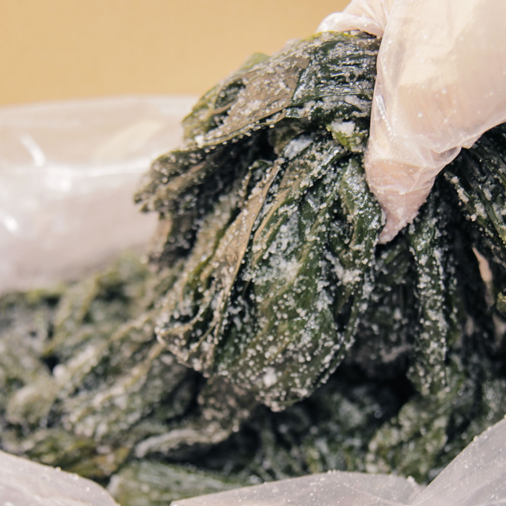 [남도드림] 바다채소 매끈 통통 맛있는 염장 다시마 10kg